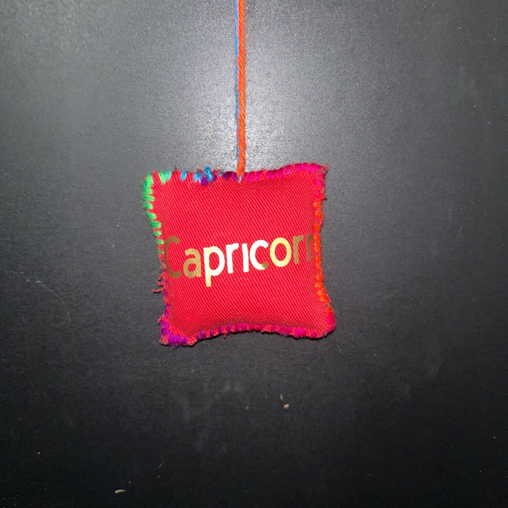 Capricorn Red Hanging Ornament
